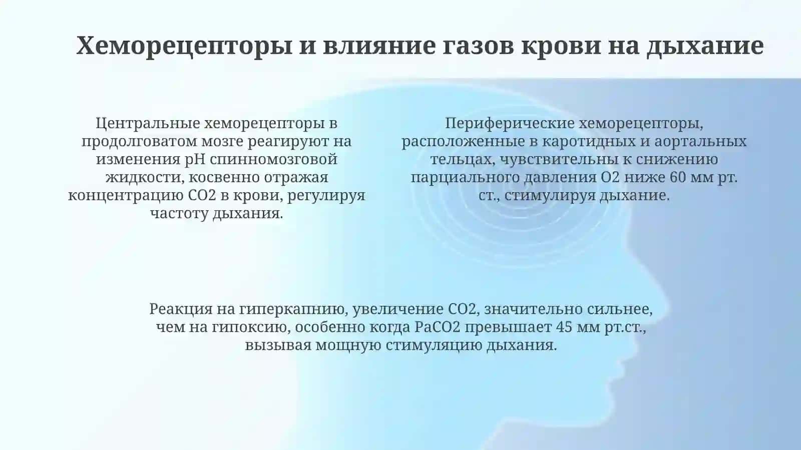 Регуляция дыхания 4