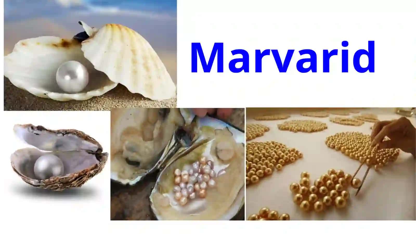 Marvarid 4
