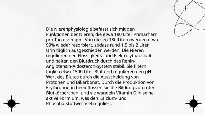Die nieren 4