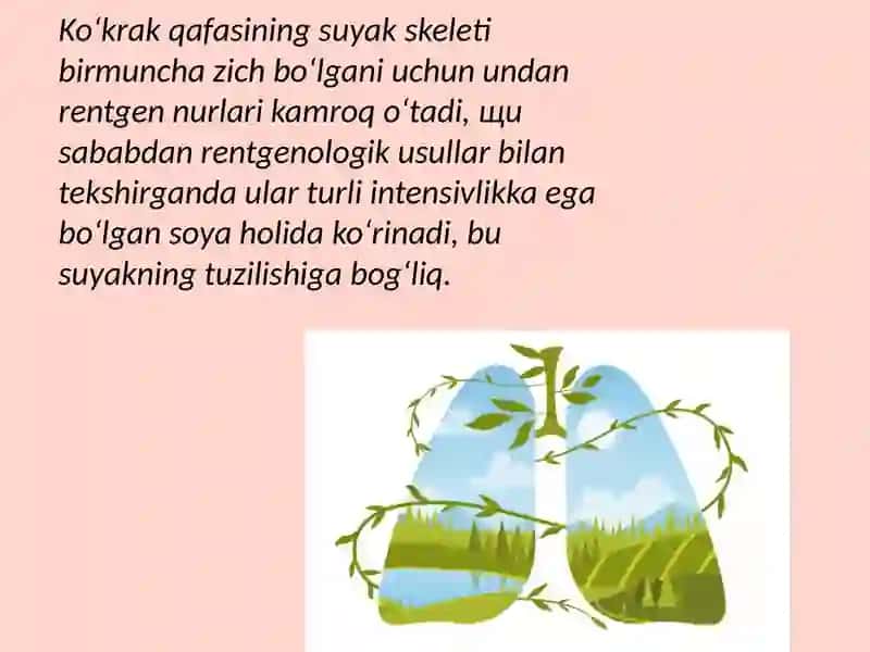 O‘pkafunksiyalarning tekshiruvi 4