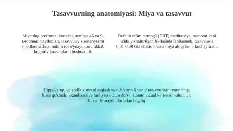 Tasavvur anatomiyasi 4