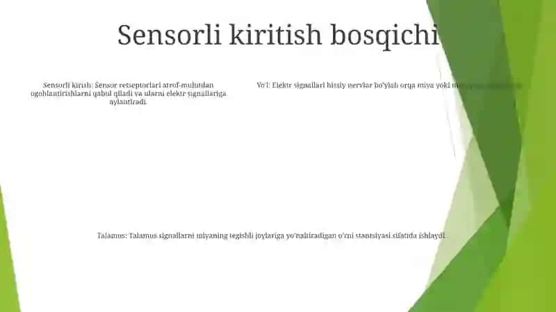 Idrok Akti Va Uning Tuzilishi 4