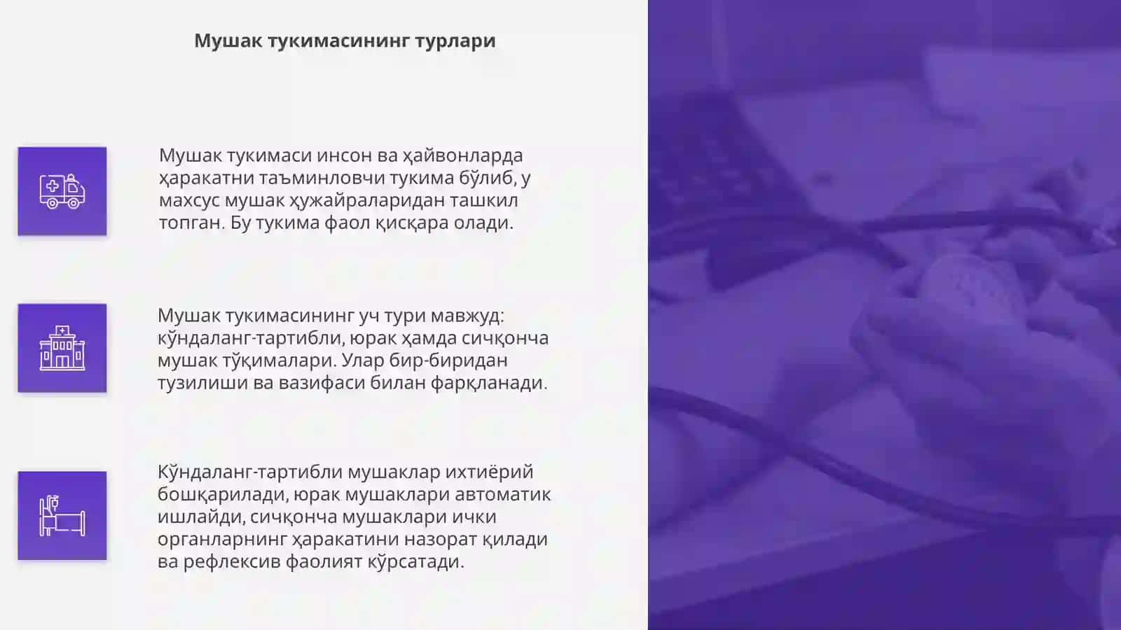 Гистология фанидан мушак тукимаси 4