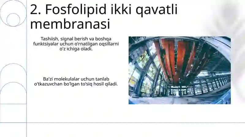 Hujayra membranalarini tuziliwi 4