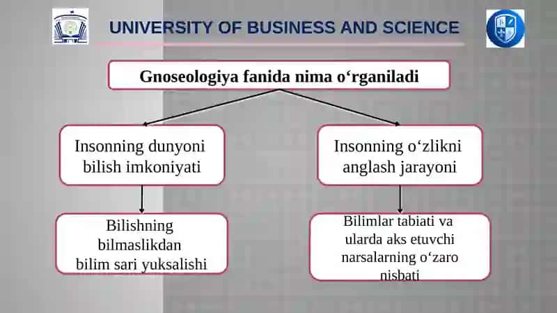 Bilish nazariyasi (gnoseologiya) 4