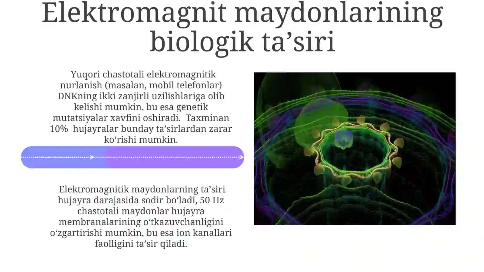 Elektromagnit Maydonlarining Biologik Taʼsiri 4