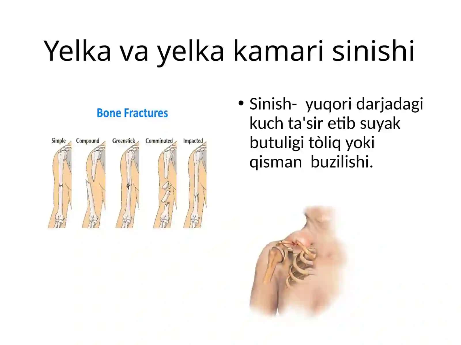 Yelka va yelka kamari 4