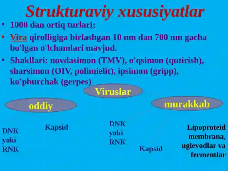Ultramikroblarning tuzilishi va xususiyatlari 4