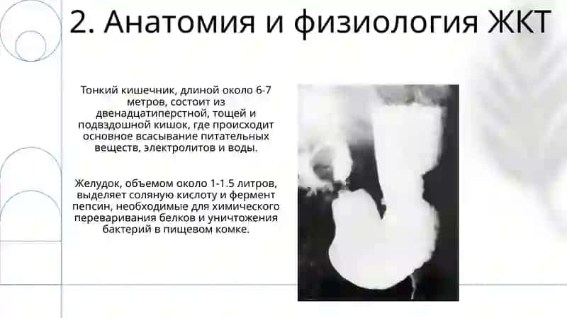 Заболевания ЖКТ 4