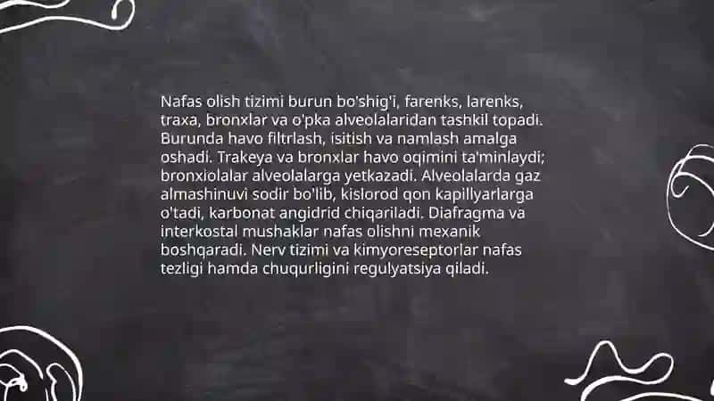 Nafasni idora etilishi 4
