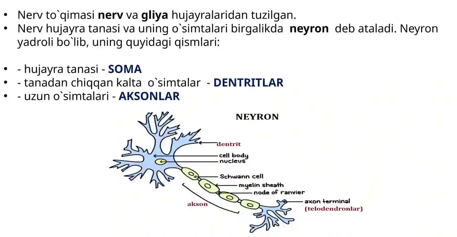 Oliy va tuban funksiyalar 4