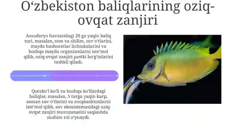 Orol dengizi va uning ekologik muammolari 4