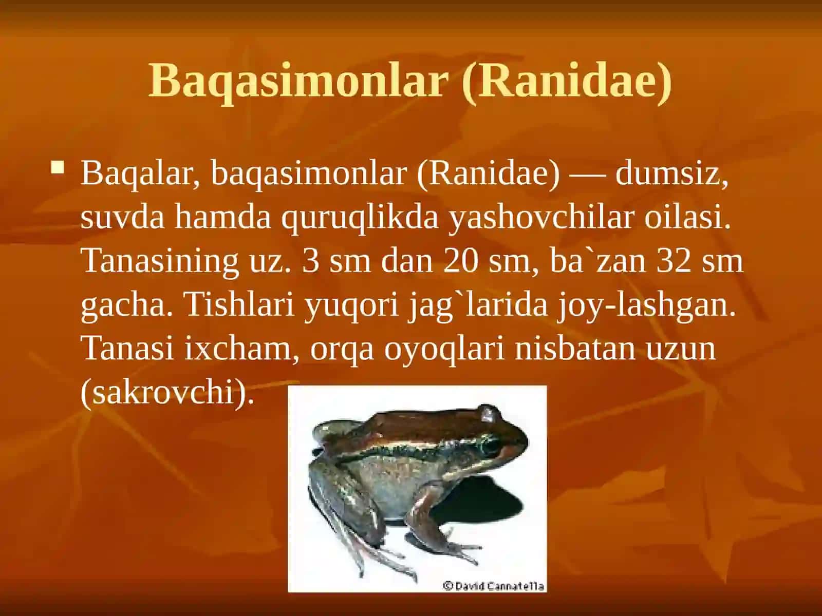 Suvda va quruqlikda yashovchilar sinfi 4