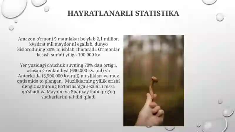 Yulduzli Muvaffaqiyat Hikoyalari 4