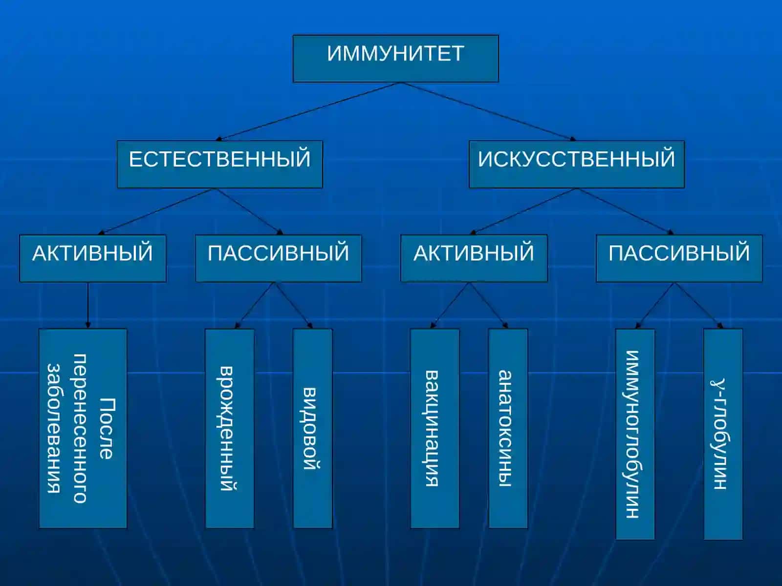 Иммунизация асослари ва иммунопрофилактика ишларини ташкиллаштириш 4