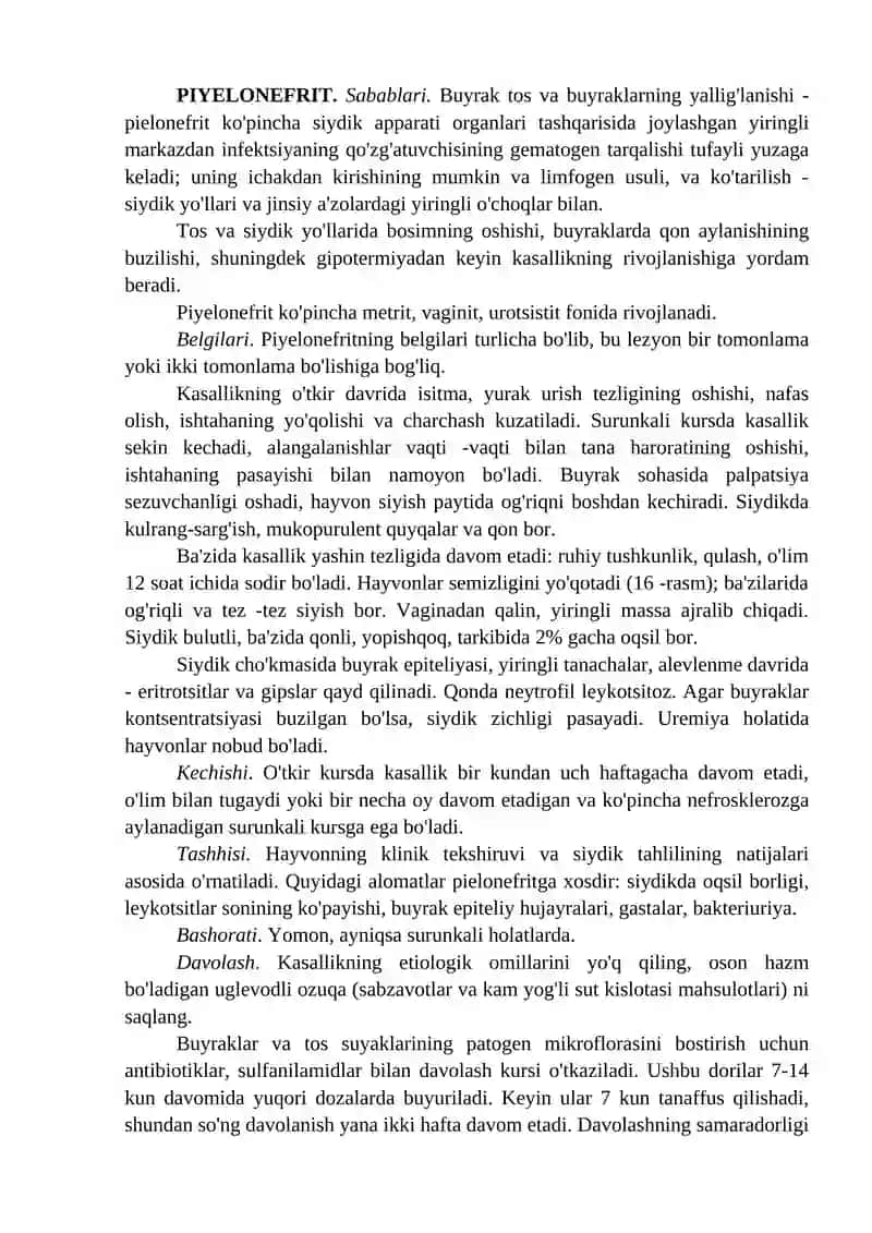 SIYDIK AYIRISH TIZIMI KASALLIKLARI 4