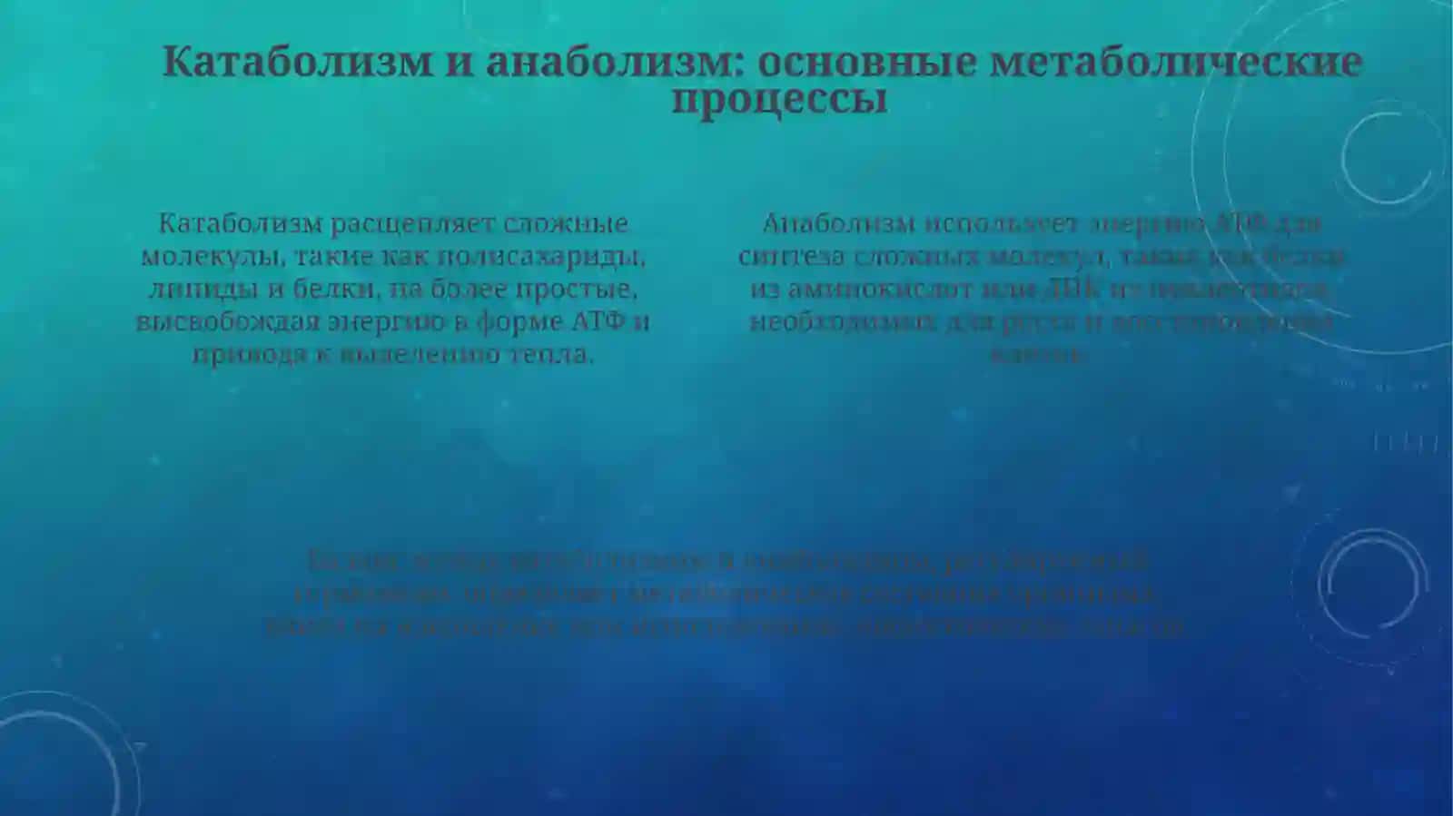 Обмен вещества и энергии 4