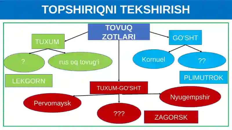 Biologiya DARS REJASI 4