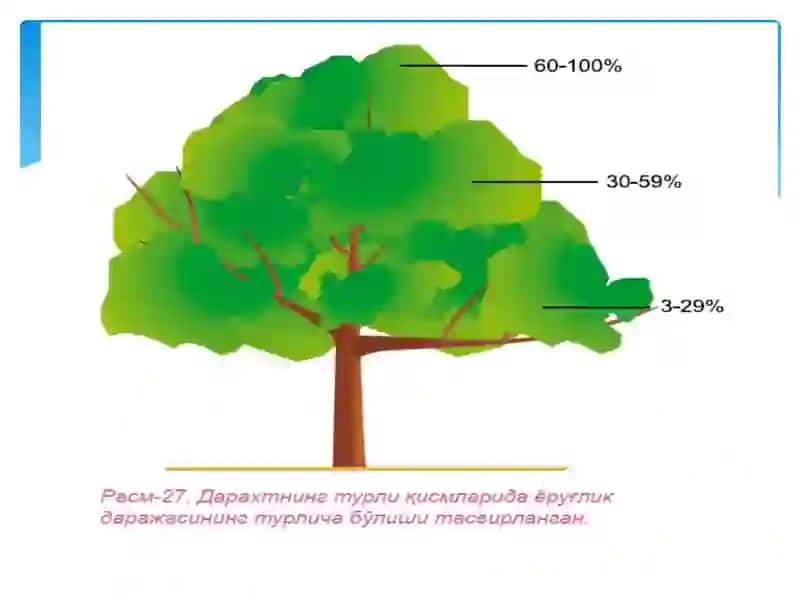 Ёруғлик 4
