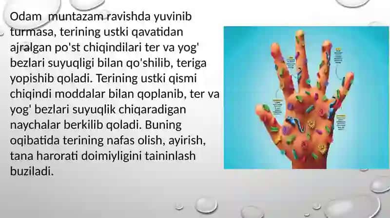 17-mavzu: Terining tuzilishi va funksiyasi 4