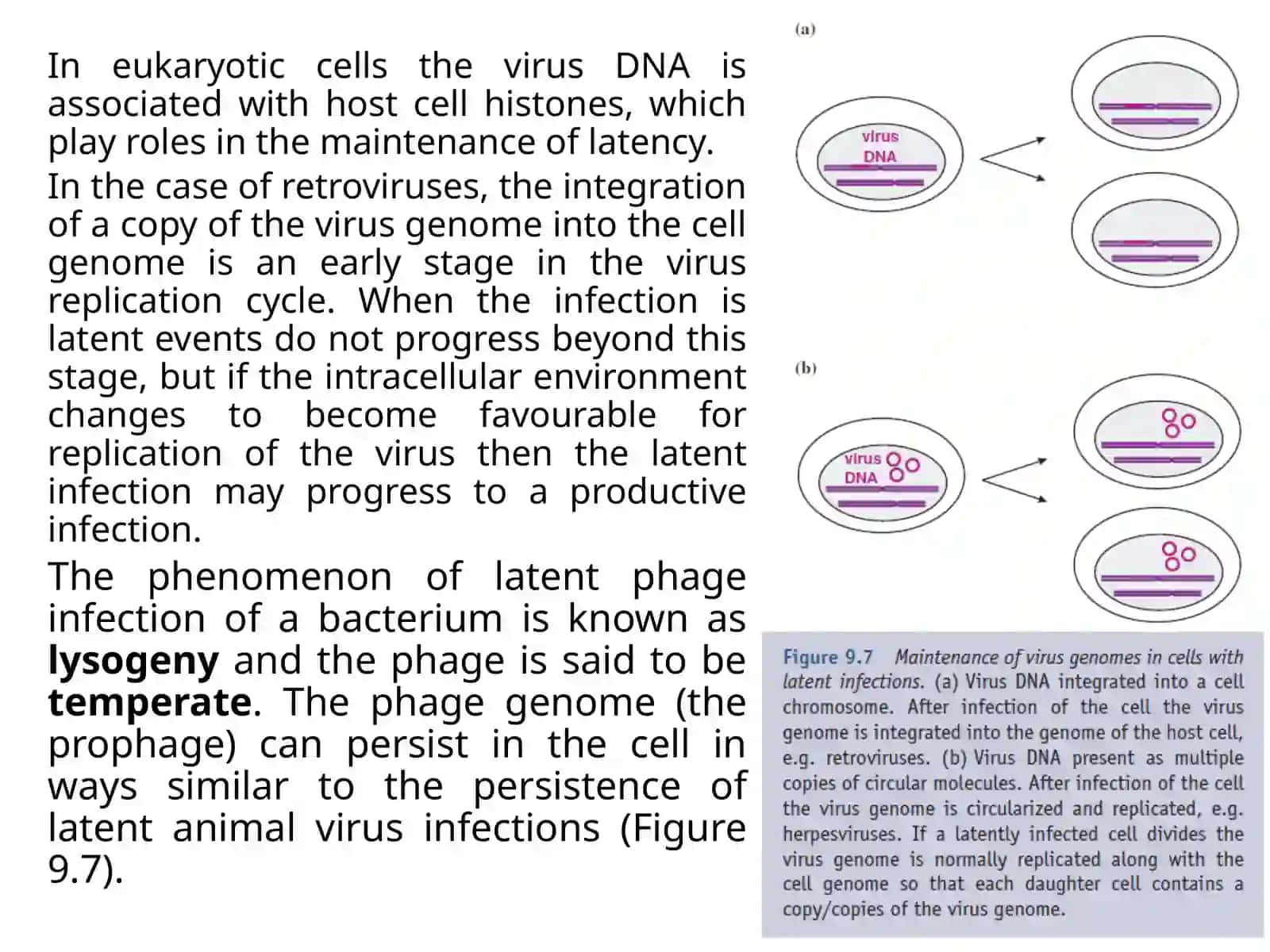 Outcomes of the virus infection for the host 4