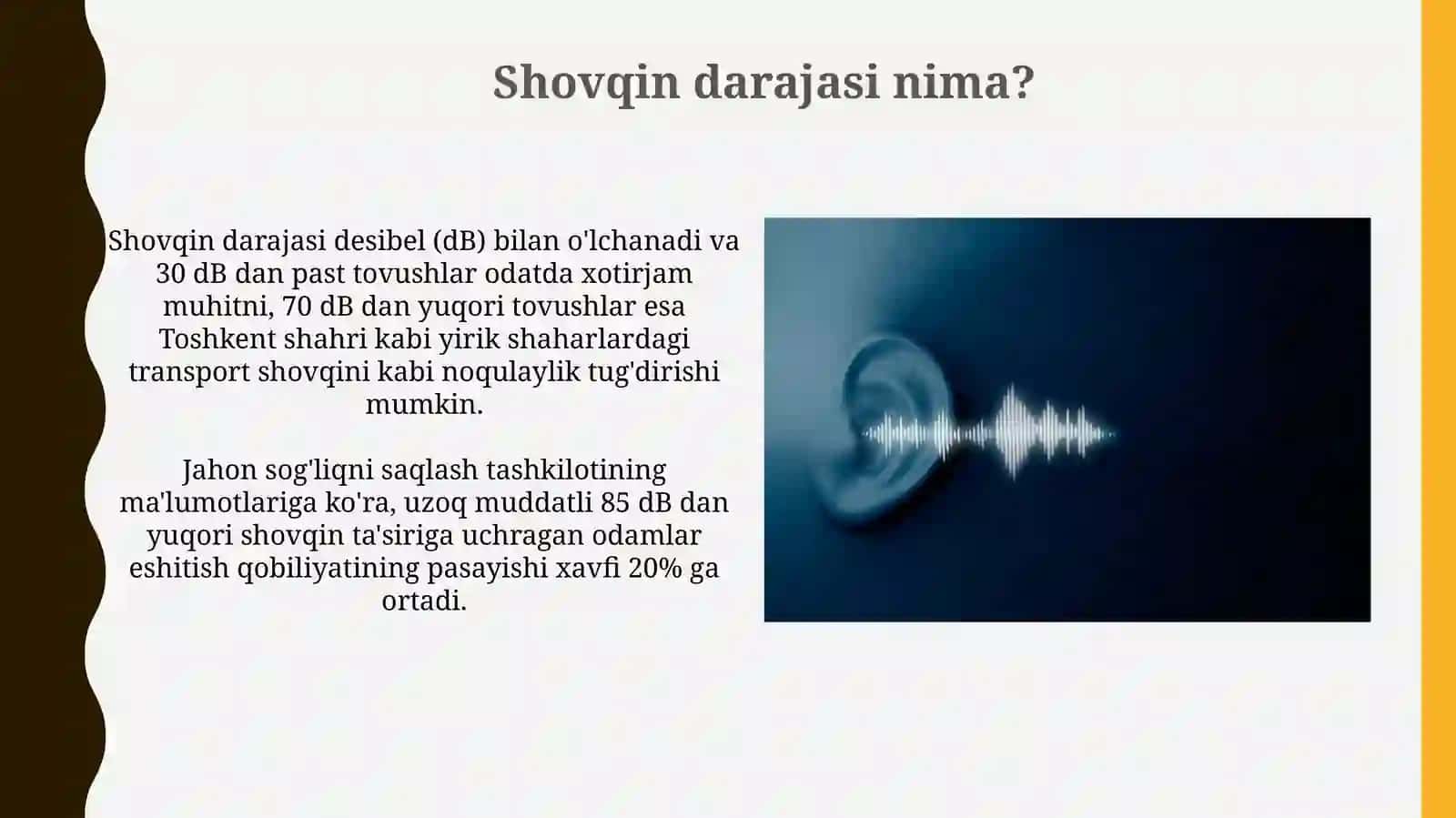 Shovqin darajasi 4