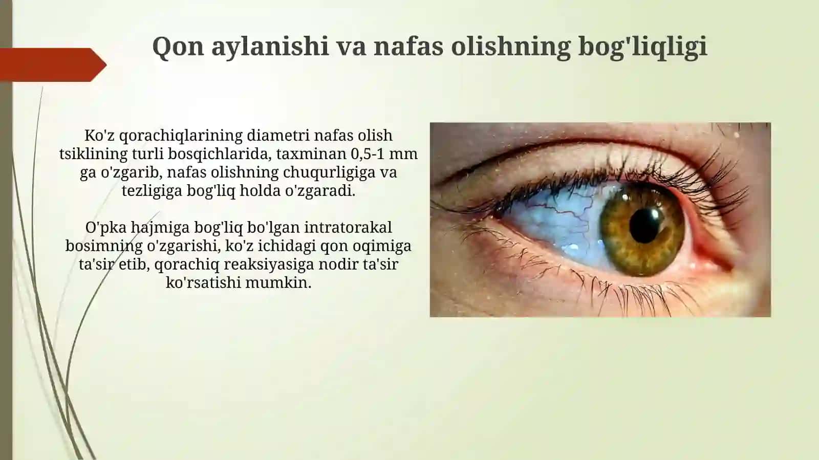 Fiziologiya eshitish va muvozanat aʼzolar 4