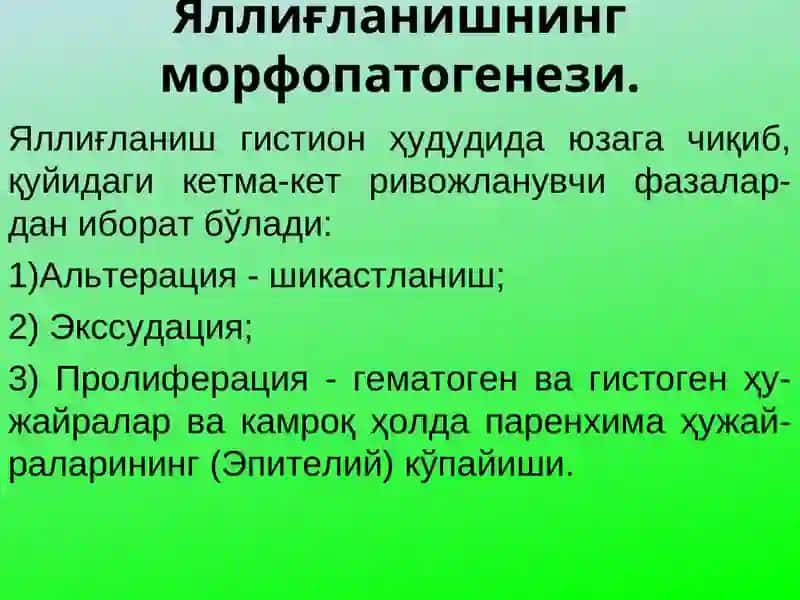 Яллиғланиш 4