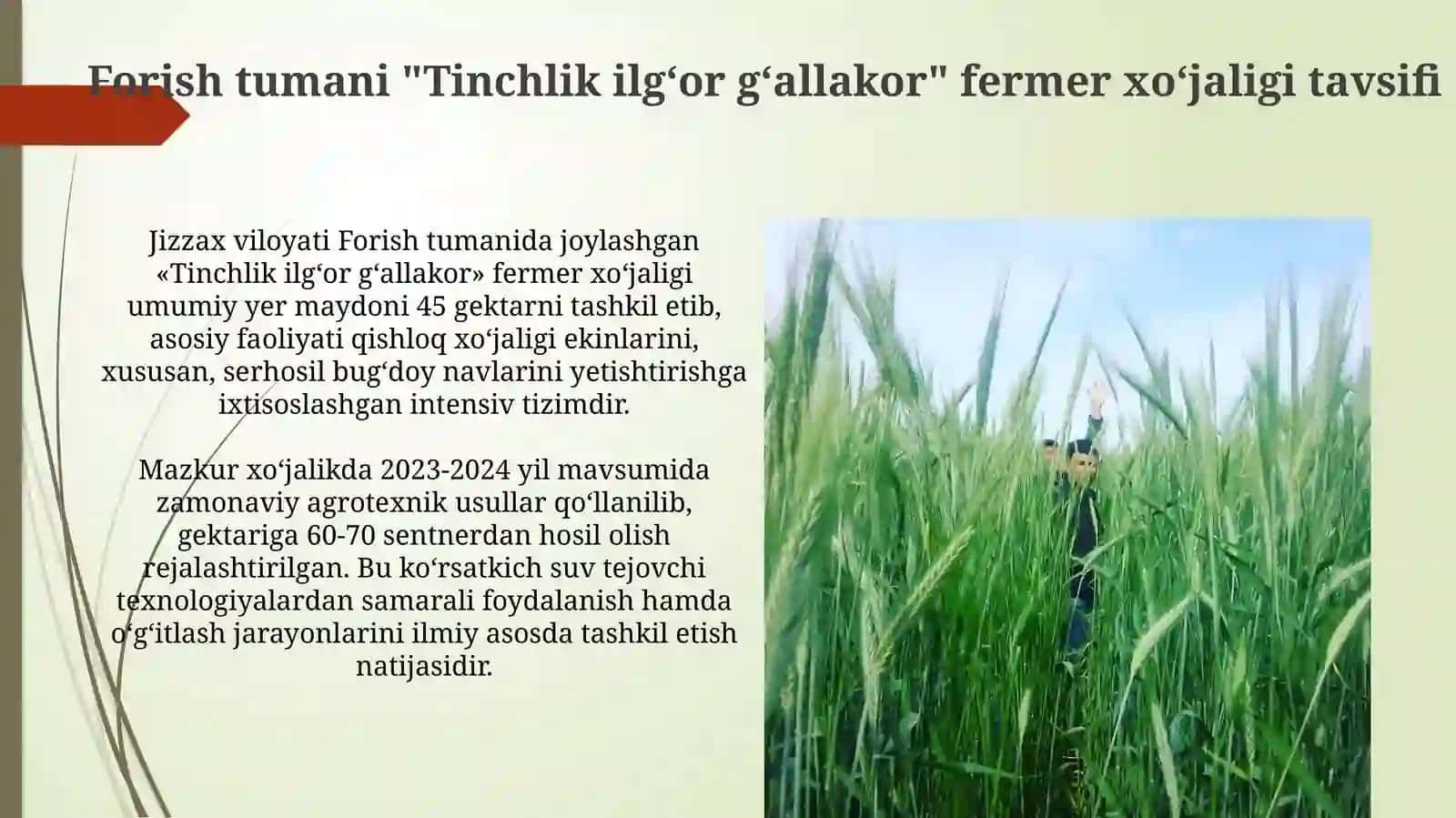 Bugʻdoy osimligining oʻsishi va rivojlanish bosqichi 4