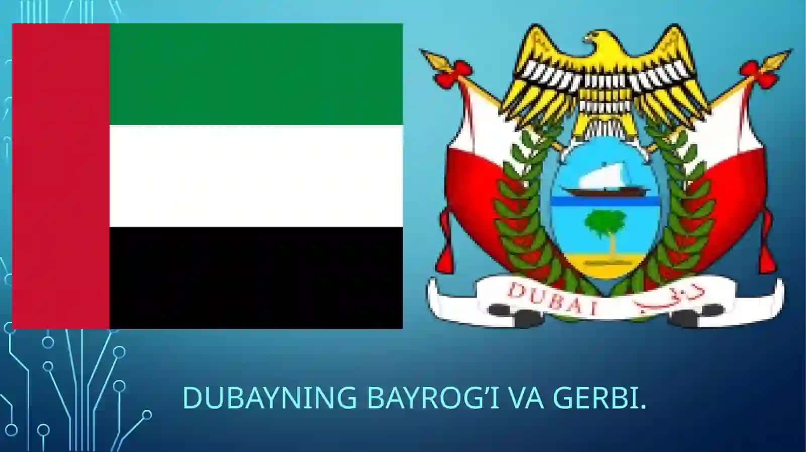 DUBAY davlatining raqamli iqtisodiyot tahlili 4