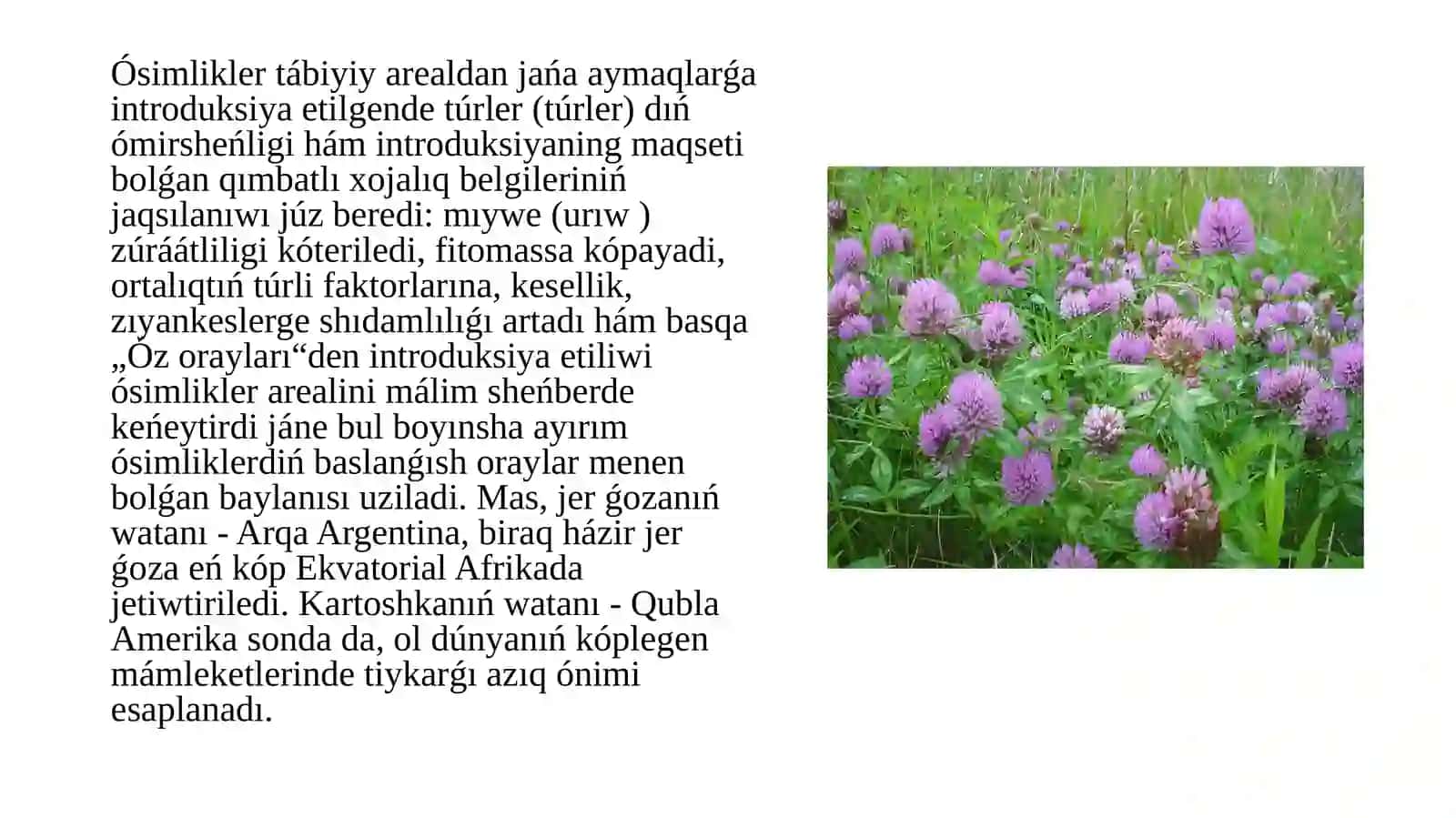 Introduktsiyanıń xalıq xojalıǵındaǵı áhmiyeti 4