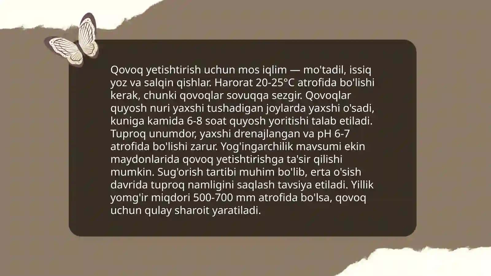 Qovoq yetishtirish 4