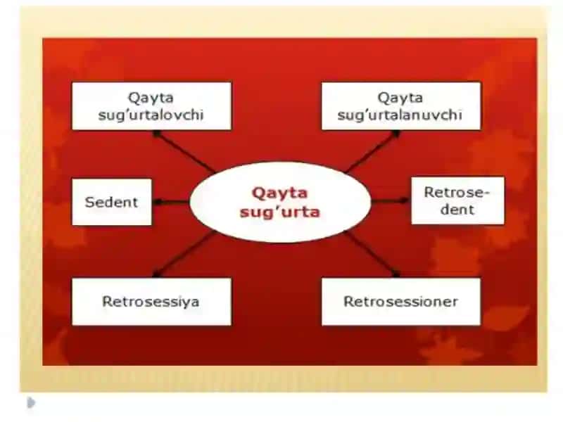 Qayta sug‘urtalash 4