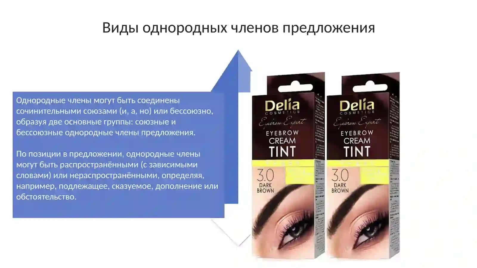 Однородные члены предложения 4