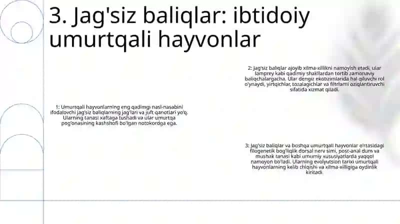 Umurtqali Hayvonlar Dunyosining Filogenetik Bog‘Lanishi 4