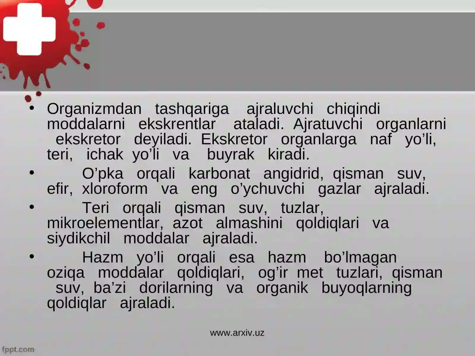 Ayiruv organlari 4