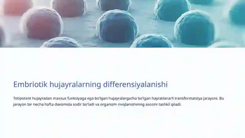 Hujayra differensiyalanishi 4