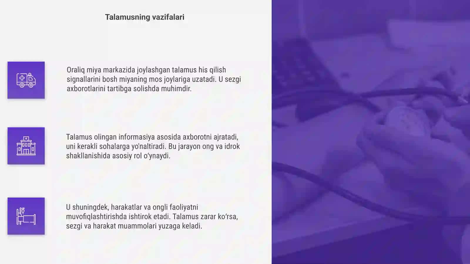 Oraliq miya anatomiyasi 4