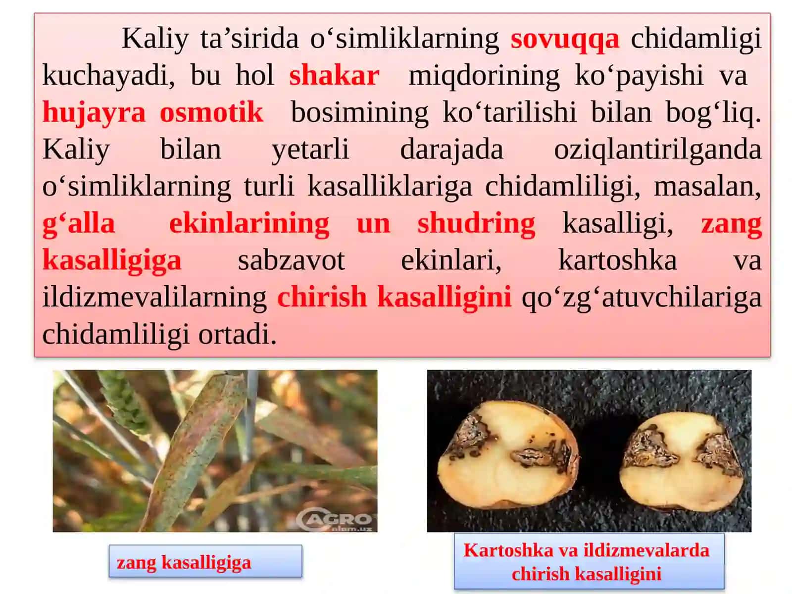 Kaliyli va murakkab o’g’itlar 4