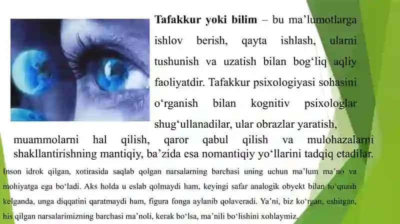 Tafakkurni tadqiq etish 4