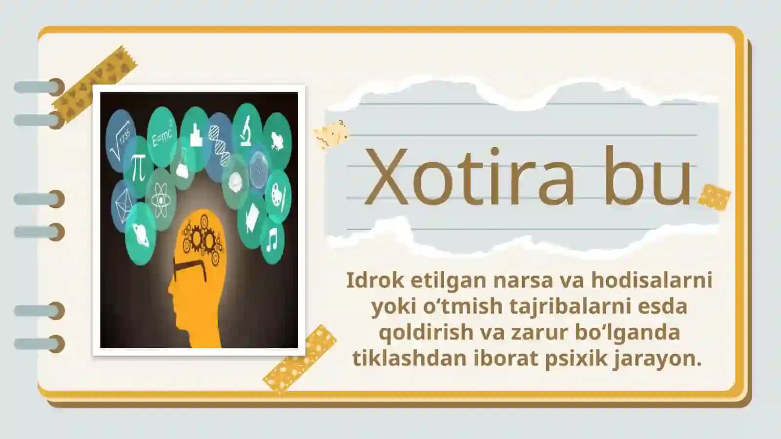 Qisqa va uzoq muddatli xotiraning fiziologik mexanizmlari 4
