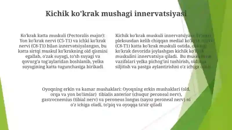 Oyoq va Ko'krak Muskullari 4
