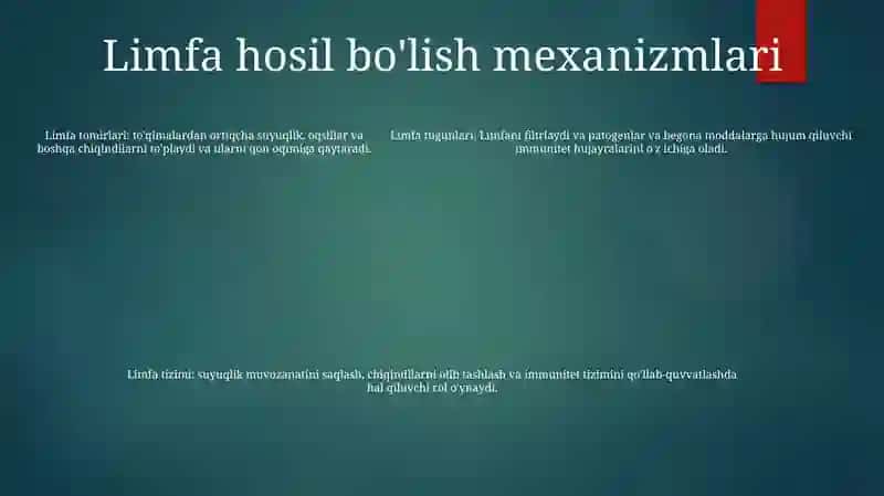 Limfaning Xosil Bolishi Tarkibi Va Vazifalari 4