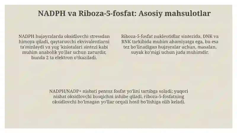 Pentoz fosfat yo'lining metabolik jarayonlari 4