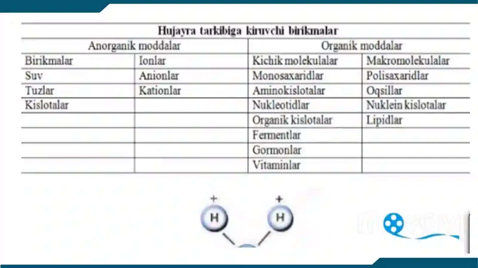 Hayotning molekulyar asoslari 4