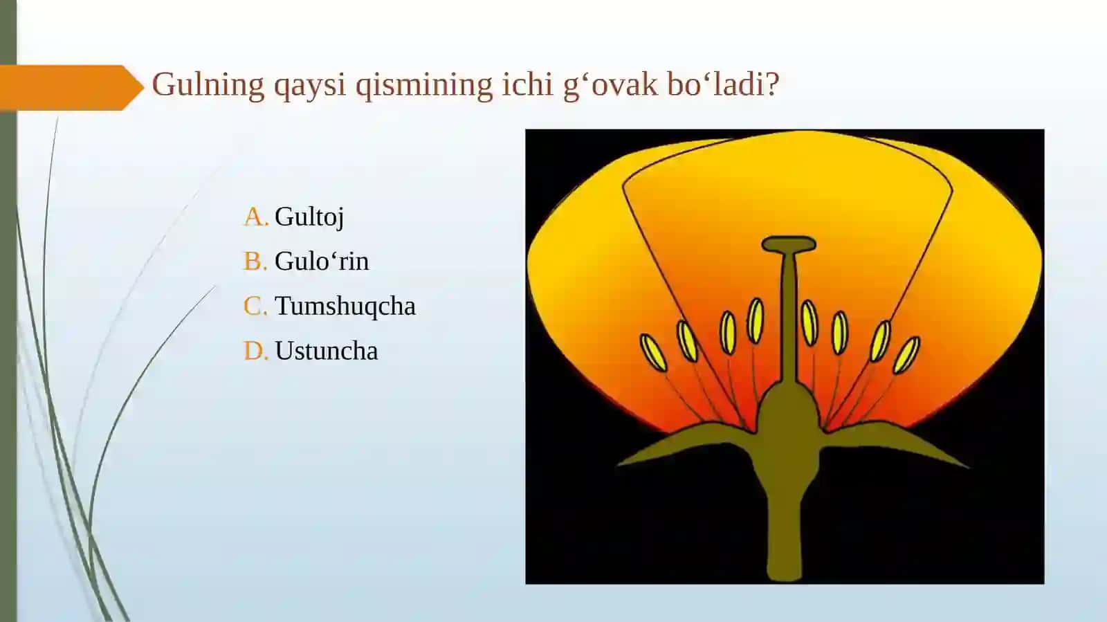 GULLARNING XILMA-XILLIGI 4