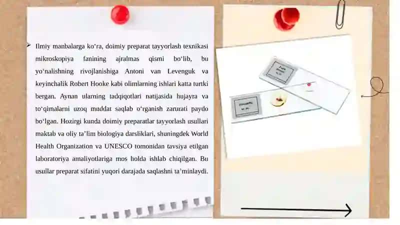 Doimiy preparate tayorlash texnikasi. 4
