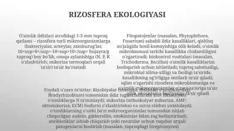 Rizosfera mikroorganizmlari 4