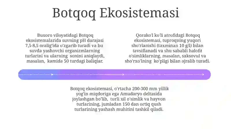 Botqoq Landshafti 4