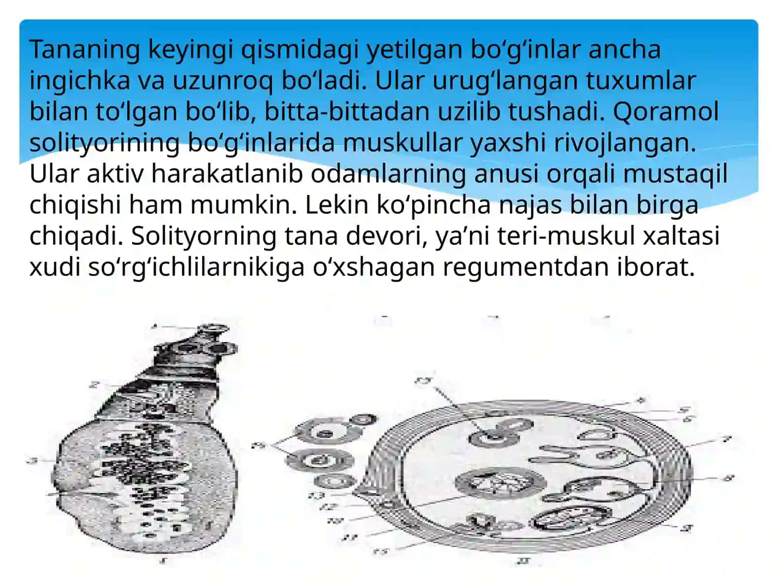 Qoramol solityori tuzilishi 4